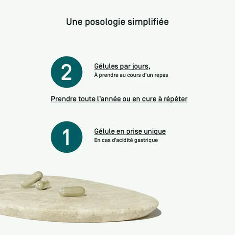 Lithotamne