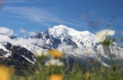 Algorigin partenaire de Chamonix Yoga Festival, la micronutrition au service du yoga