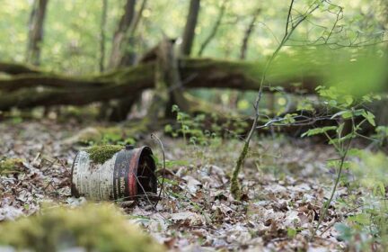 World CleanUp Day : une vague verte pour nettoyer la planète