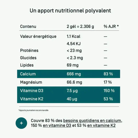 Lithotamne